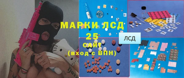 гашик Алексеевка