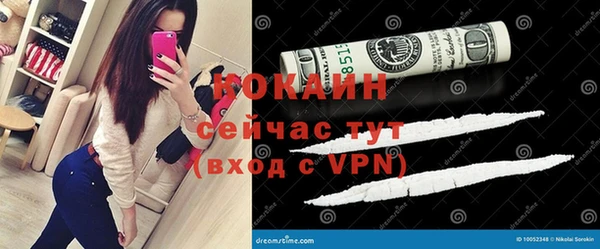 твердый Алзамай