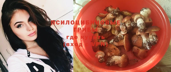 твердый Алзамай