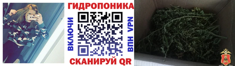 МАРИХУАНА Ganja  Курлово 